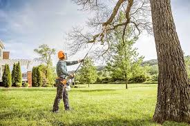 Best Tree Preservation Services  in Ingalls Park, IL